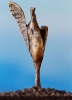 Marek Brzozowski_206