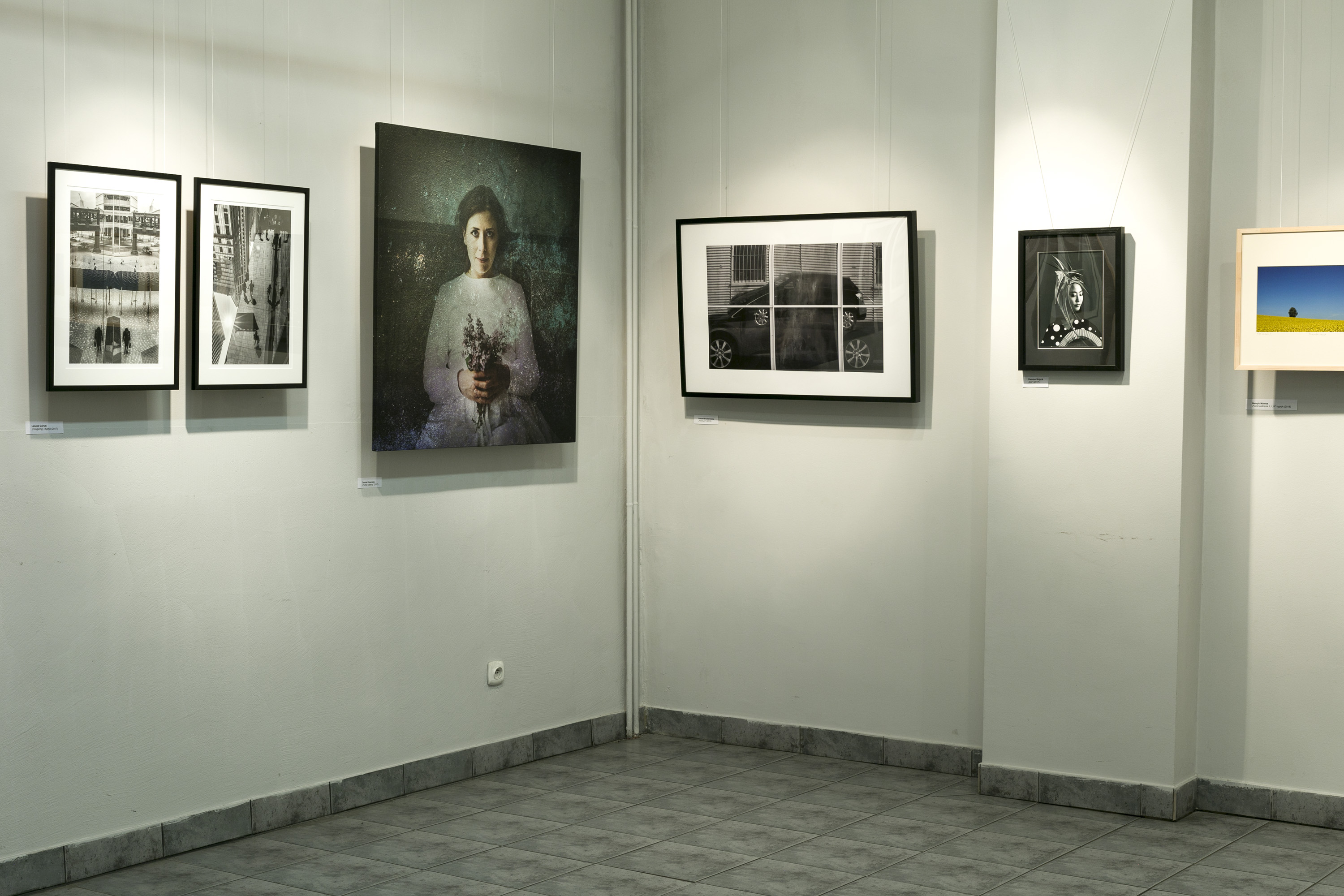 1. 4. BFSW wystawa w Galerii BB fot. Krzysztof Morcinek Galeria Bielska BWA